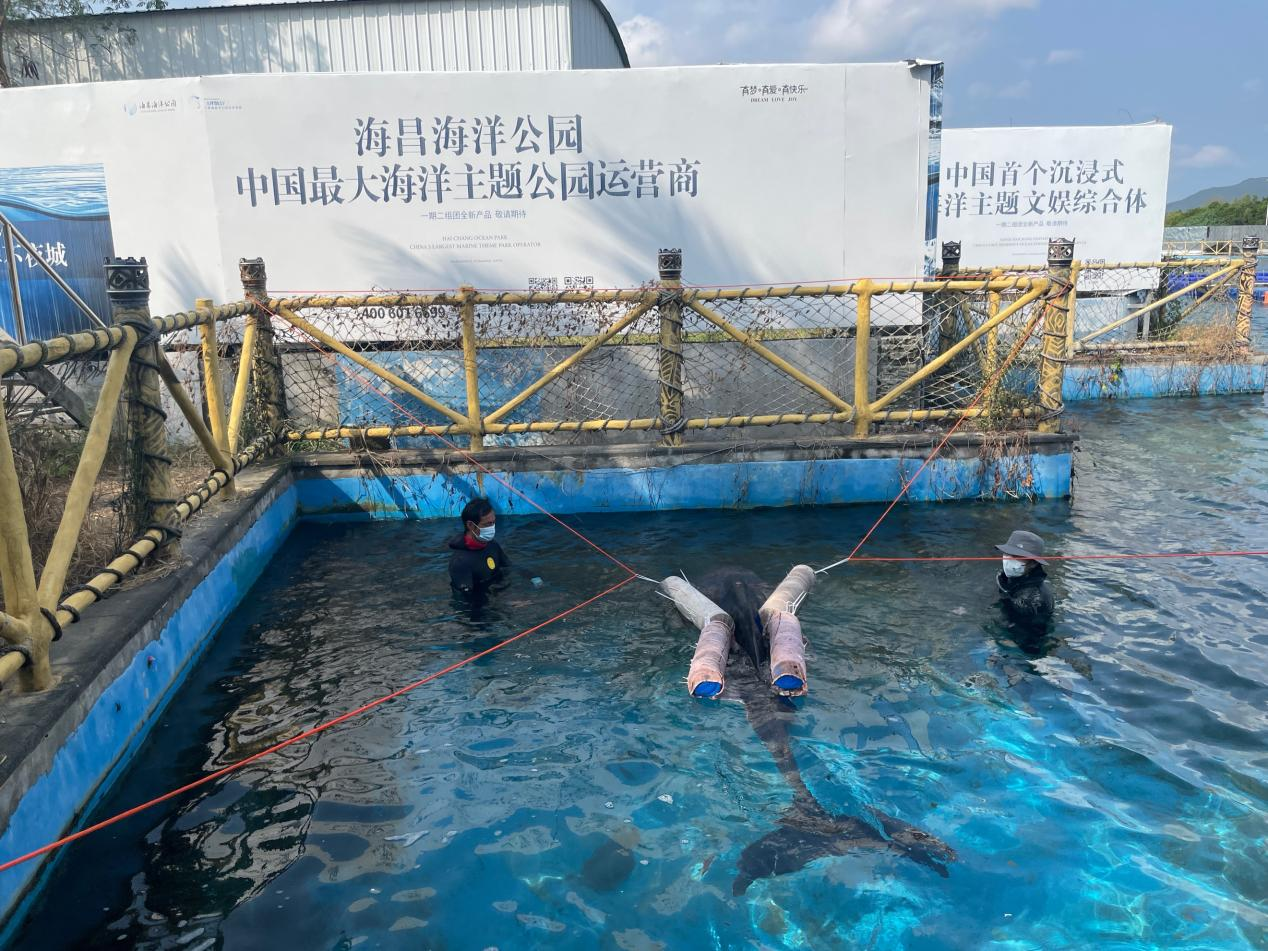 冰球突破-冰球电游豪华版_MG冰球游戏