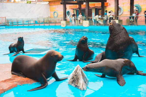 冰球突破-冰球电游豪华版_MG冰球游戏