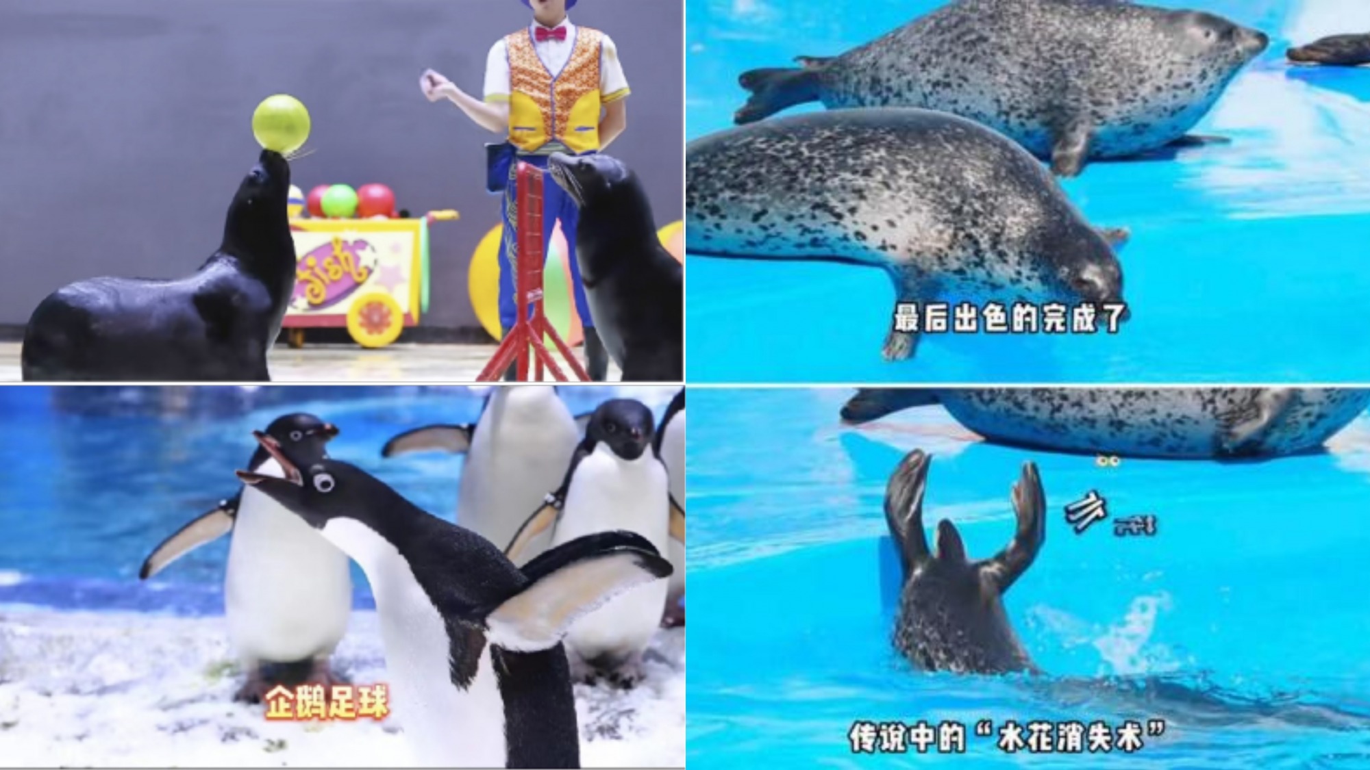 冰球突破-冰球电游豪华版_MG冰球游戏