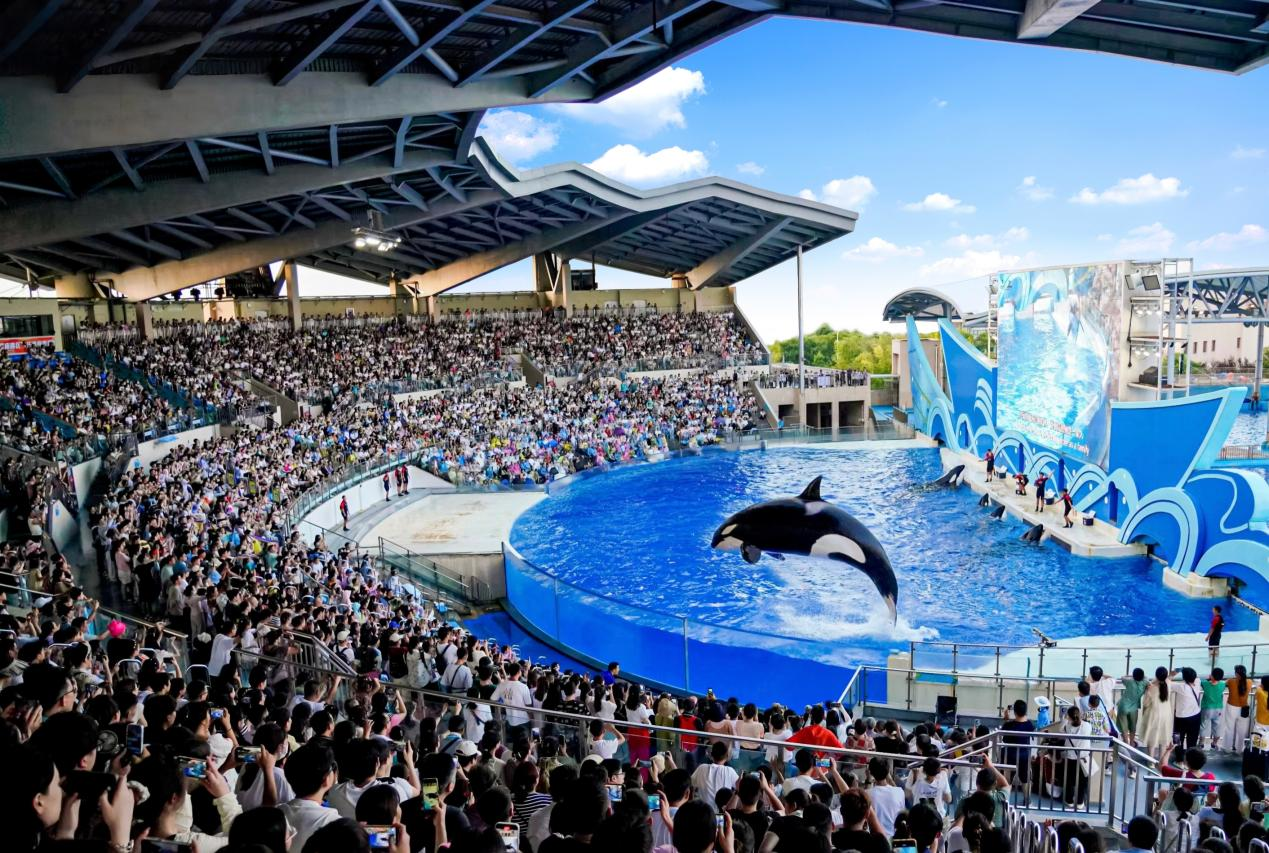 冰球突破-冰球电游豪华版_MG冰球游戏