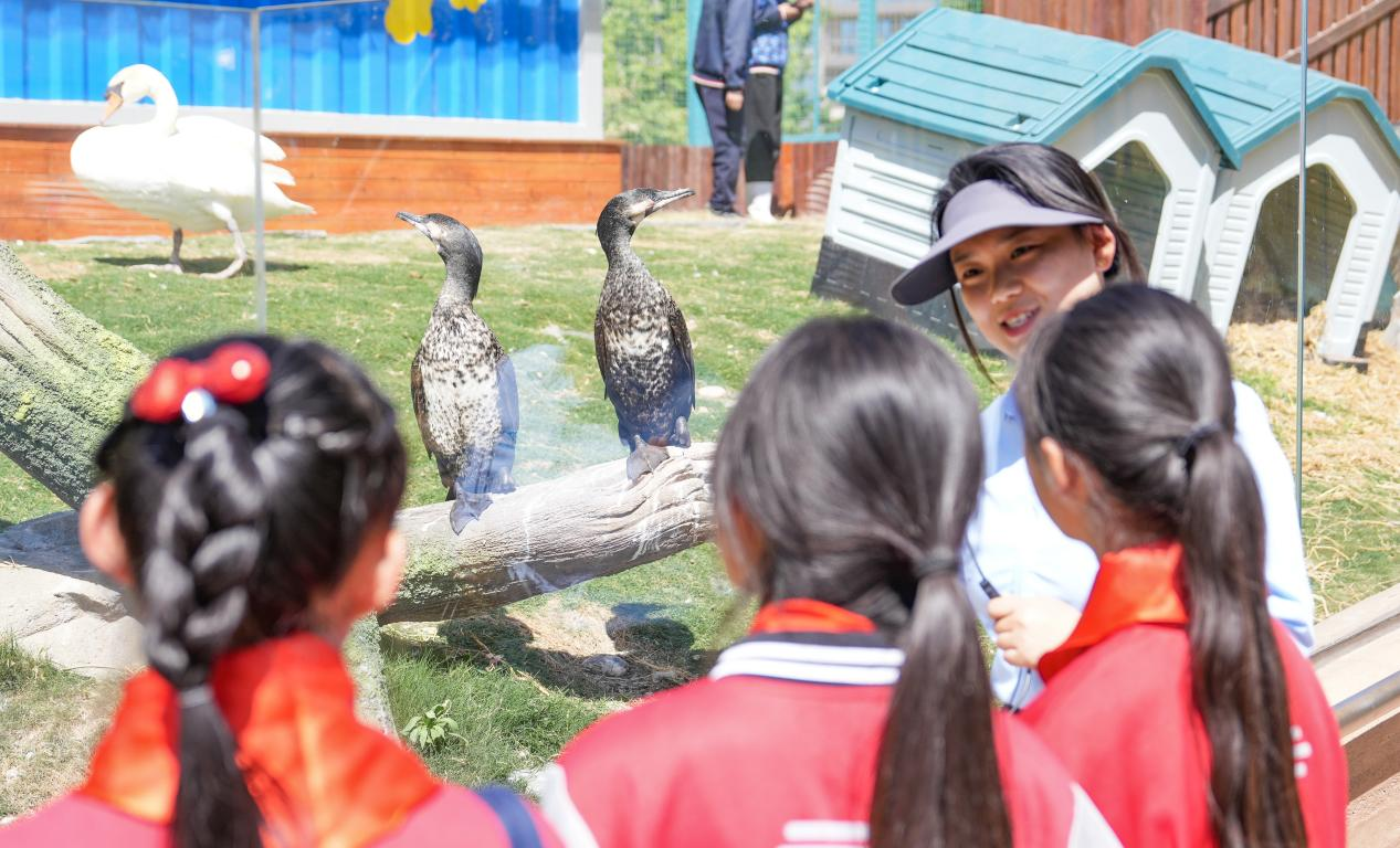 冰球突破-冰球电游豪华版_MG冰球游戏