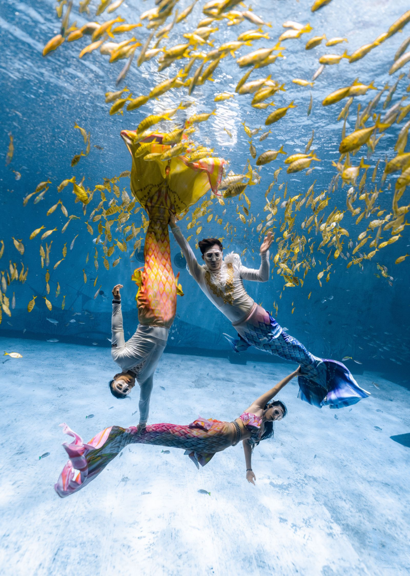 冰球突破-冰球电游豪华版_MG冰球游戏