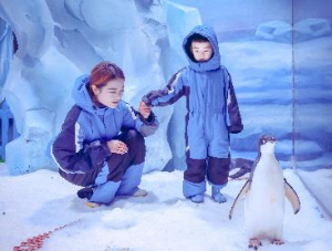 冰球突破-冰球电游豪华版_MG冰球游戏