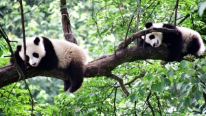 冰球突破-冰球电游豪华版_MG冰球游戏