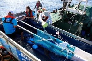 冰球突破-冰球电游豪华版_MG冰球游戏