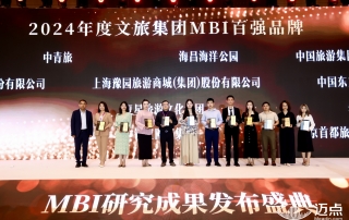 冰球突破-冰球电游豪华版_MG冰球游戏