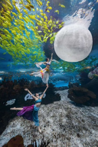 冰球突破-冰球电游豪华版_MG冰球游戏