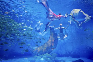 冰球突破-冰球电游豪华版_MG冰球游戏