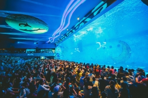 冰球突破-冰球电游豪华版_MG冰球游戏