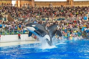 冰球突破-冰球电游豪华版_MG冰球游戏