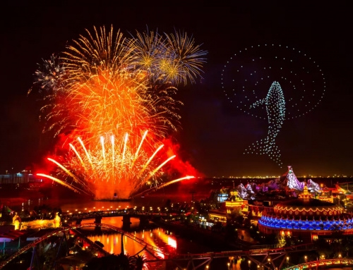 2026，从“鲸”喜狂欢最先！！！看大戏、、迎新生、、嗨新年！！！