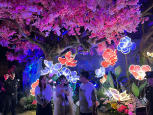 冰球突破-冰球电游豪华版_MG冰球游戏