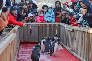 冰球突破-冰球电游豪华版_MG冰球游戏