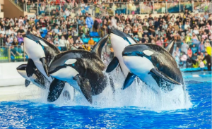 冰球突破-冰球电游豪华版_MG冰球游戏