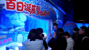 冰球突破-冰球电游豪华版_MG冰球游戏