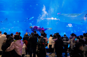 冰球突破-冰球电游豪华版_MG冰球游戏