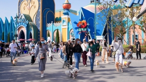 冰球突破-冰球电游豪华版_MG冰球游戏