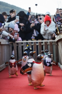 冰球突破-冰球电游豪华版_MG冰球游戏