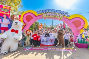 冰球突破-冰球电游豪华版_MG冰球游戏