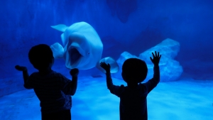 冰球突破-冰球电游豪华版_MG冰球游戏