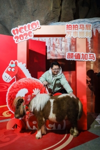 冰球突破-冰球电游豪华版_MG冰球游戏