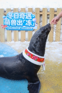 冰球突破-冰球电游豪华版_MG冰球游戏