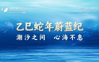 冰球突破-冰球电游豪华版_MG冰球游戏