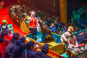 冰球突破-冰球电游豪华版_MG冰球游戏