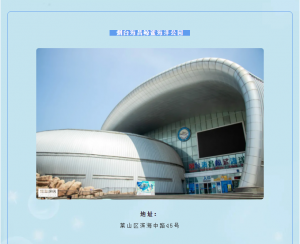 冰球突破-冰球电游豪华版_MG冰球游戏