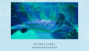 冰球突破-冰球电游豪华版_MG冰球游戏