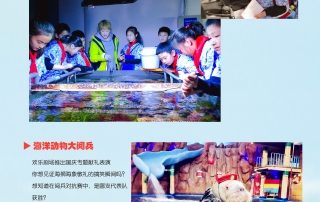 冰球突破-冰球电游豪华版_MG冰球游戏