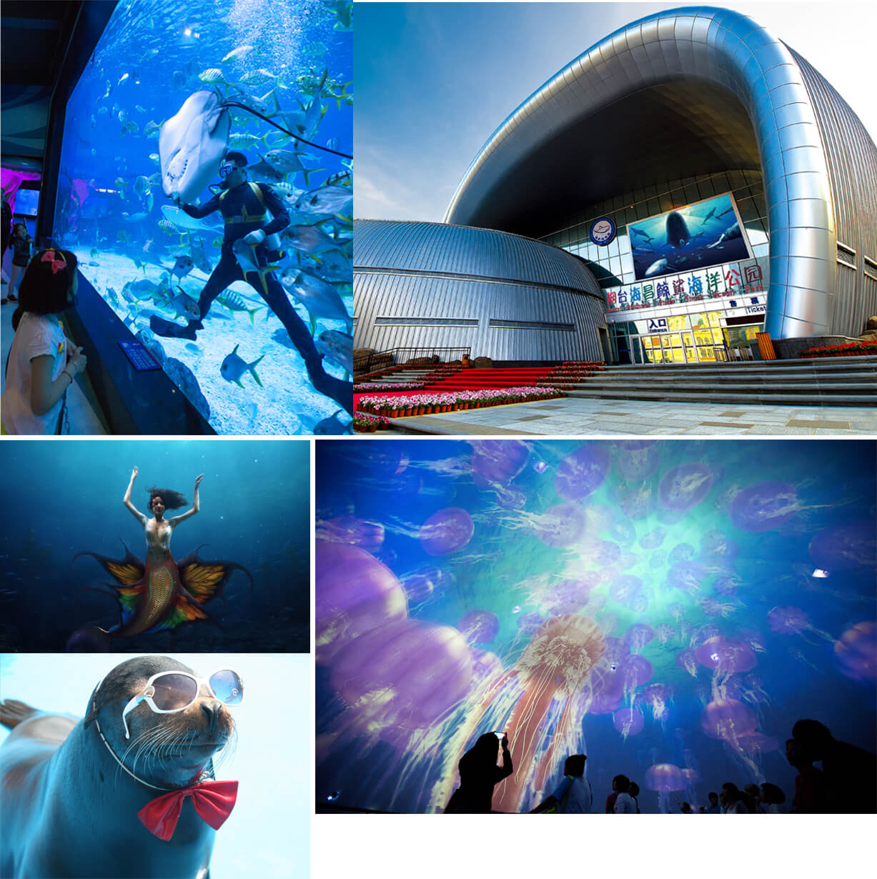 冰球突破-冰球电游豪华版_MG冰球游戏