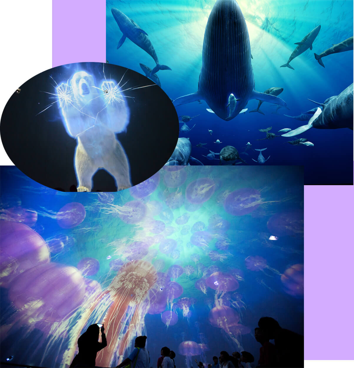 冰球突破-冰球电游豪华版_MG冰球游戏