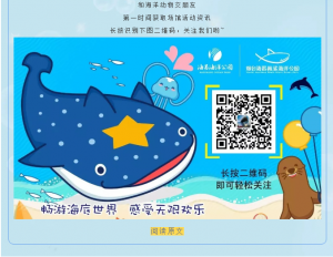 冰球突破-冰球电游豪华版_MG冰球游戏