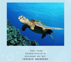 冰球突破-冰球电游豪华版_MG冰球游戏