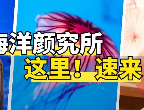 【海洋“颜”究所】9.9元特价票，尚有奖励可领？会照相尚有福利！