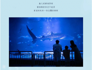 冰球突破-冰球电游豪华版_MG冰球游戏