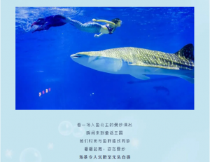 冰球突破-冰球电游豪华版_MG冰球游戏