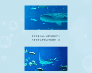 冰球突破-冰球电游豪华版_MG冰球游戏