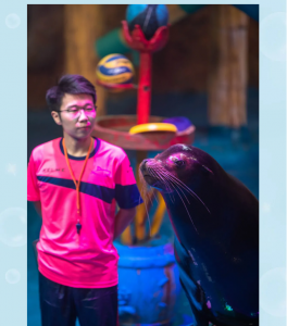 冰球突破-冰球电游豪华版_MG冰球游戏