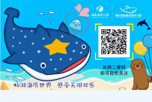 冰球突破-冰球电游豪华版_MG冰球游戏