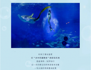 冰球突破-冰球电游豪华版_MG冰球游戏