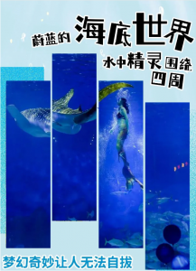 冰球突破-冰球电游豪华版_MG冰球游戏