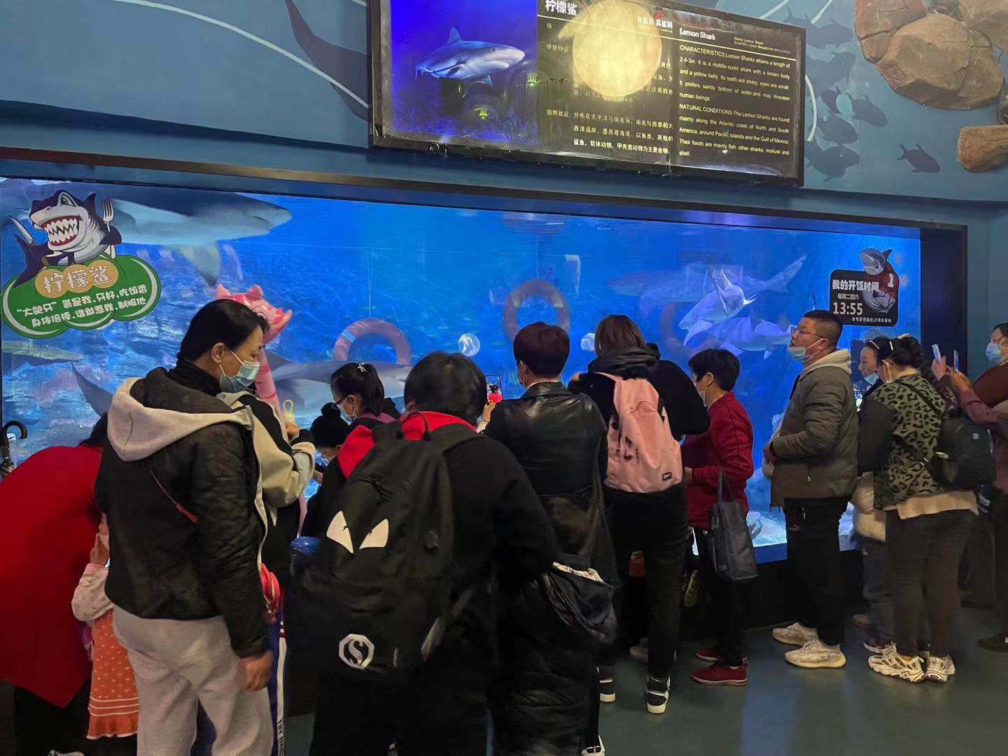 冰球突破-冰球电游豪华版_MG冰球游戏