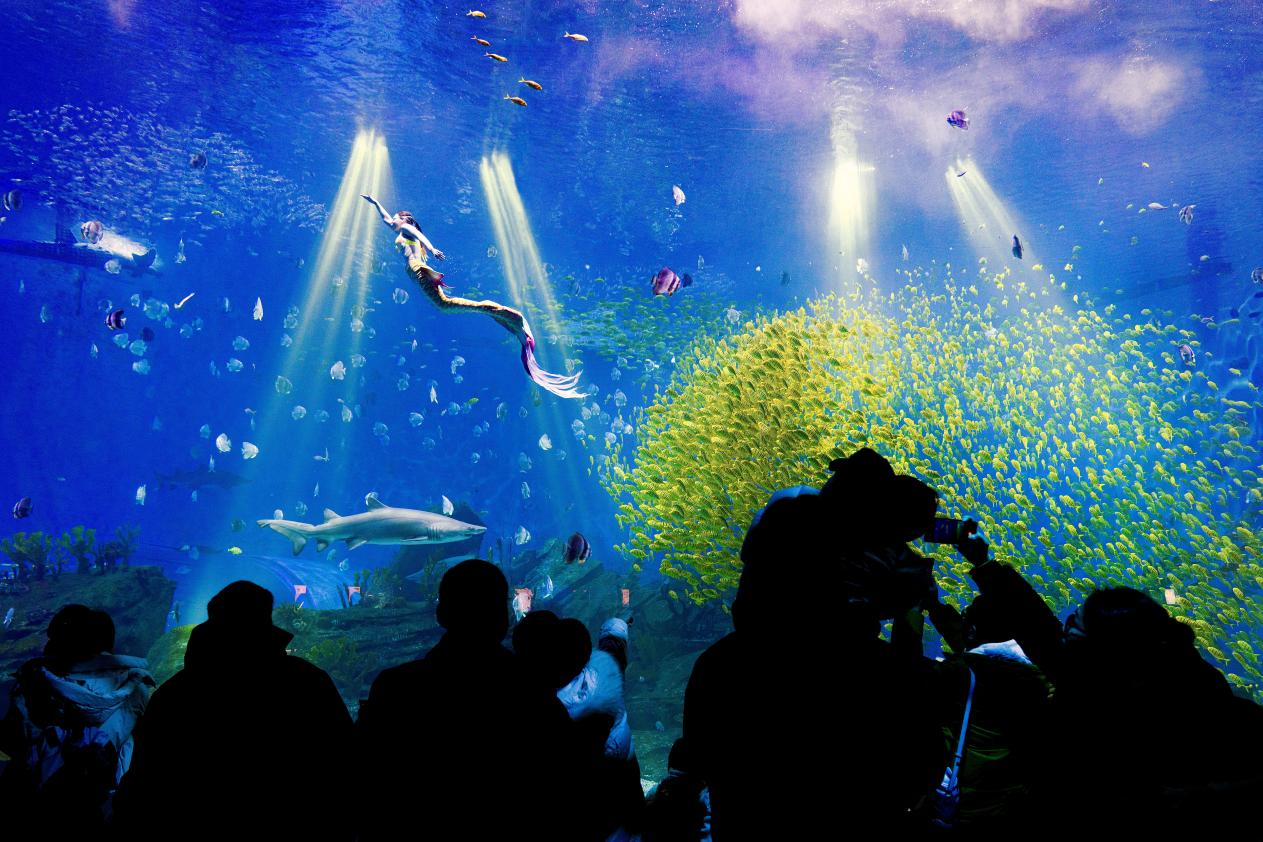 冰球突破-冰球电游豪华版_MG冰球游戏