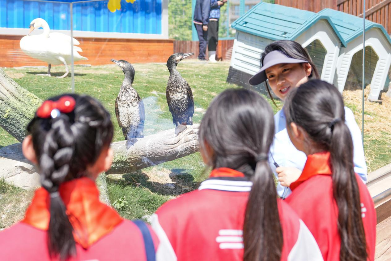 冰球突破-冰球电游豪华版_MG冰球游戏