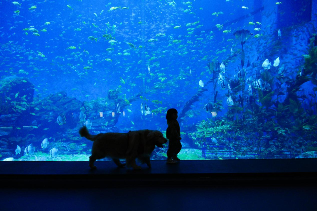 冰球突破-冰球电游豪华版_MG冰球游戏