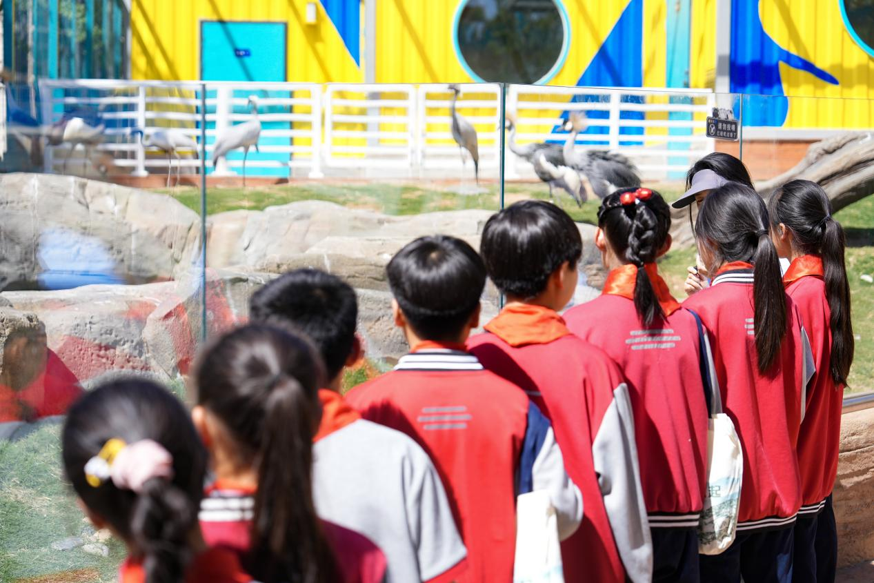 冰球突破-冰球电游豪华版_MG冰球游戏