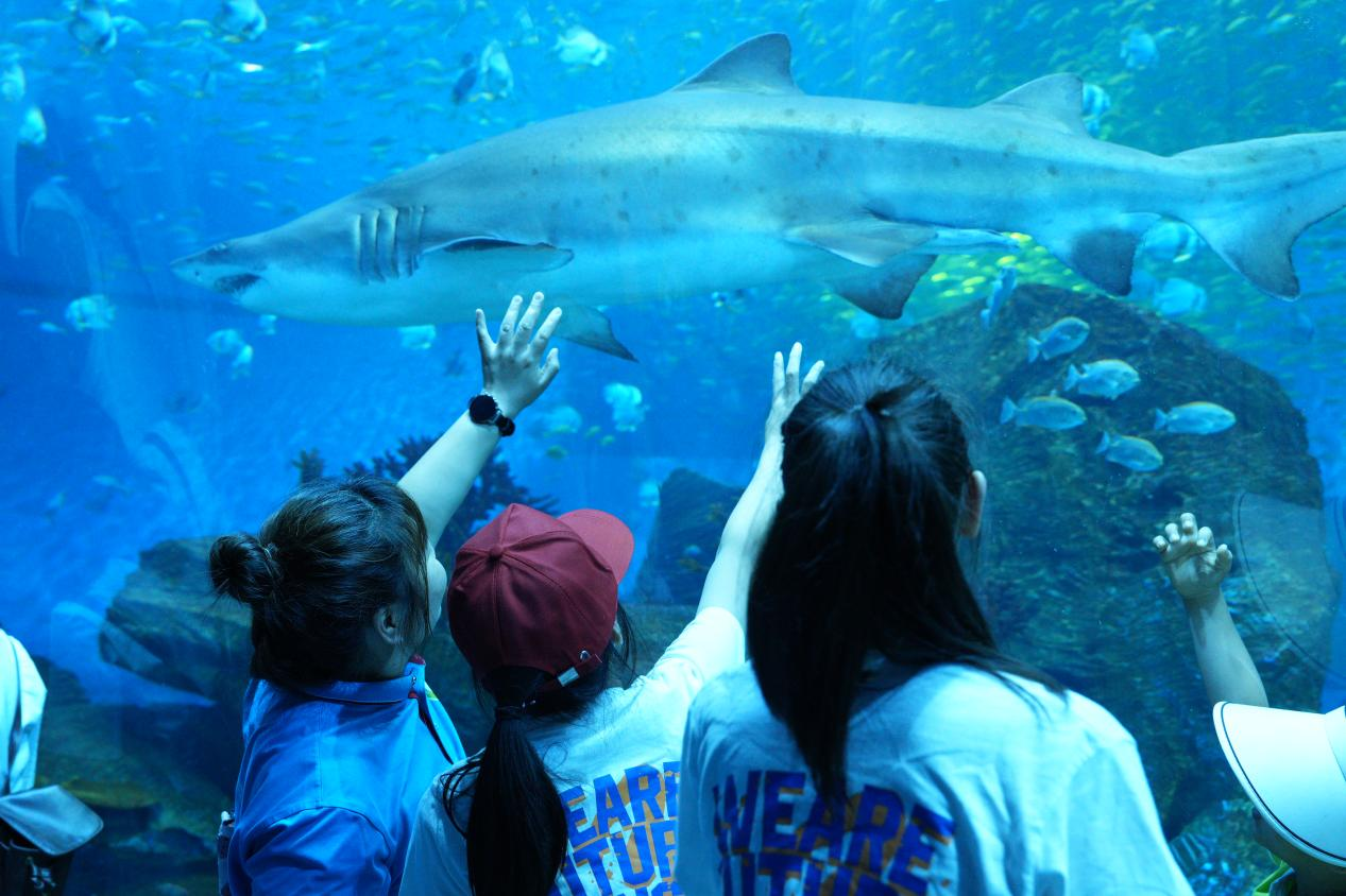 冰球突破-冰球电游豪华版_MG冰球游戏