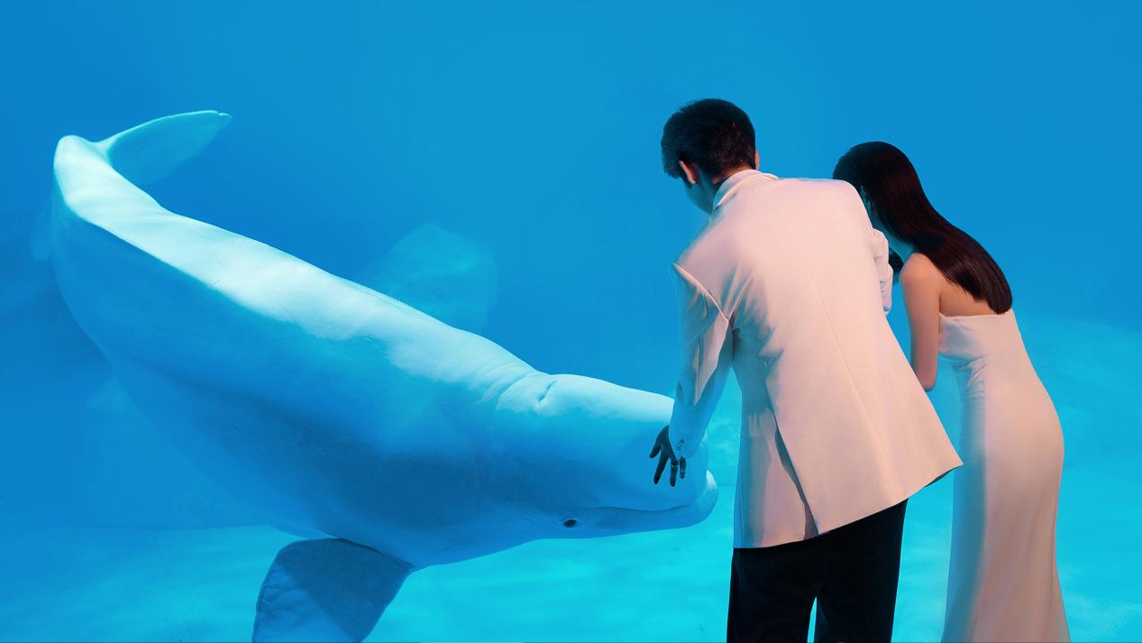 冰球突破-冰球电游豪华版_MG冰球游戏